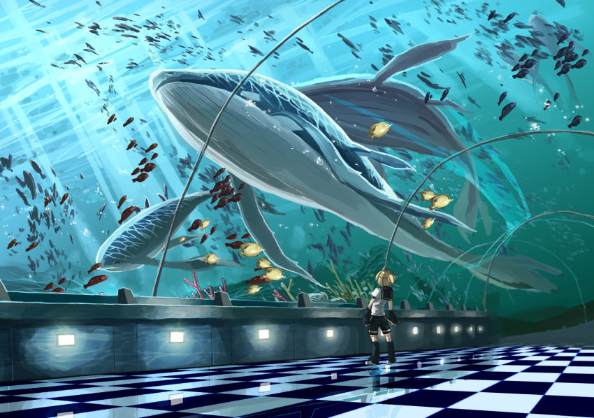 aquarium, blonde_hair, fish, highres, kagamine_len, scorpion5050, solo, vocaloid