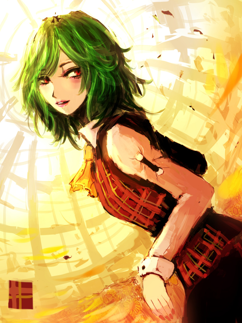 31_violence, ascot, blush, flower, green_hair, highres, kazami_yuuka, lips
