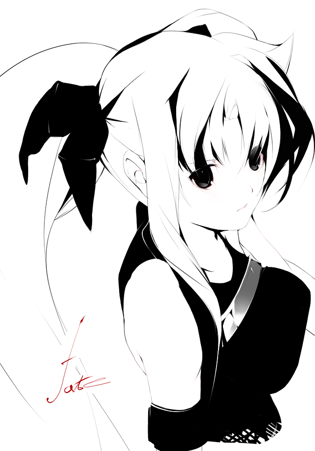 blush, breasts, long_hair, mahou_shoujo_lyrical_nanoha, mahou_shoujo_lyrical_nanoha_strikers, monochrome, sayappa, spandex, twintails