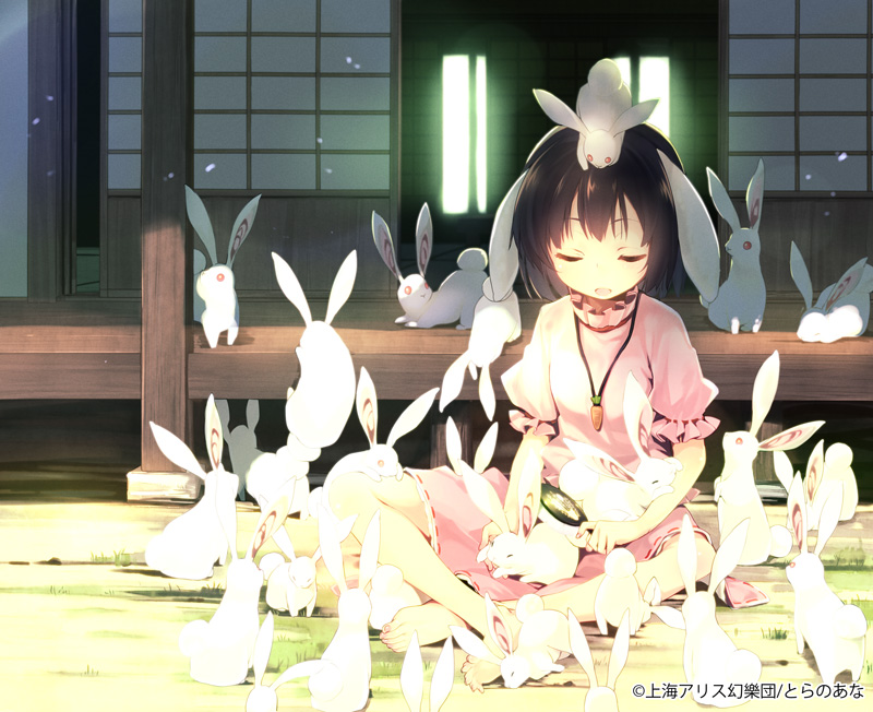 animal_ears, black_hair, brush, bunny, bunny_ears, carrot, closed_eyes, dress