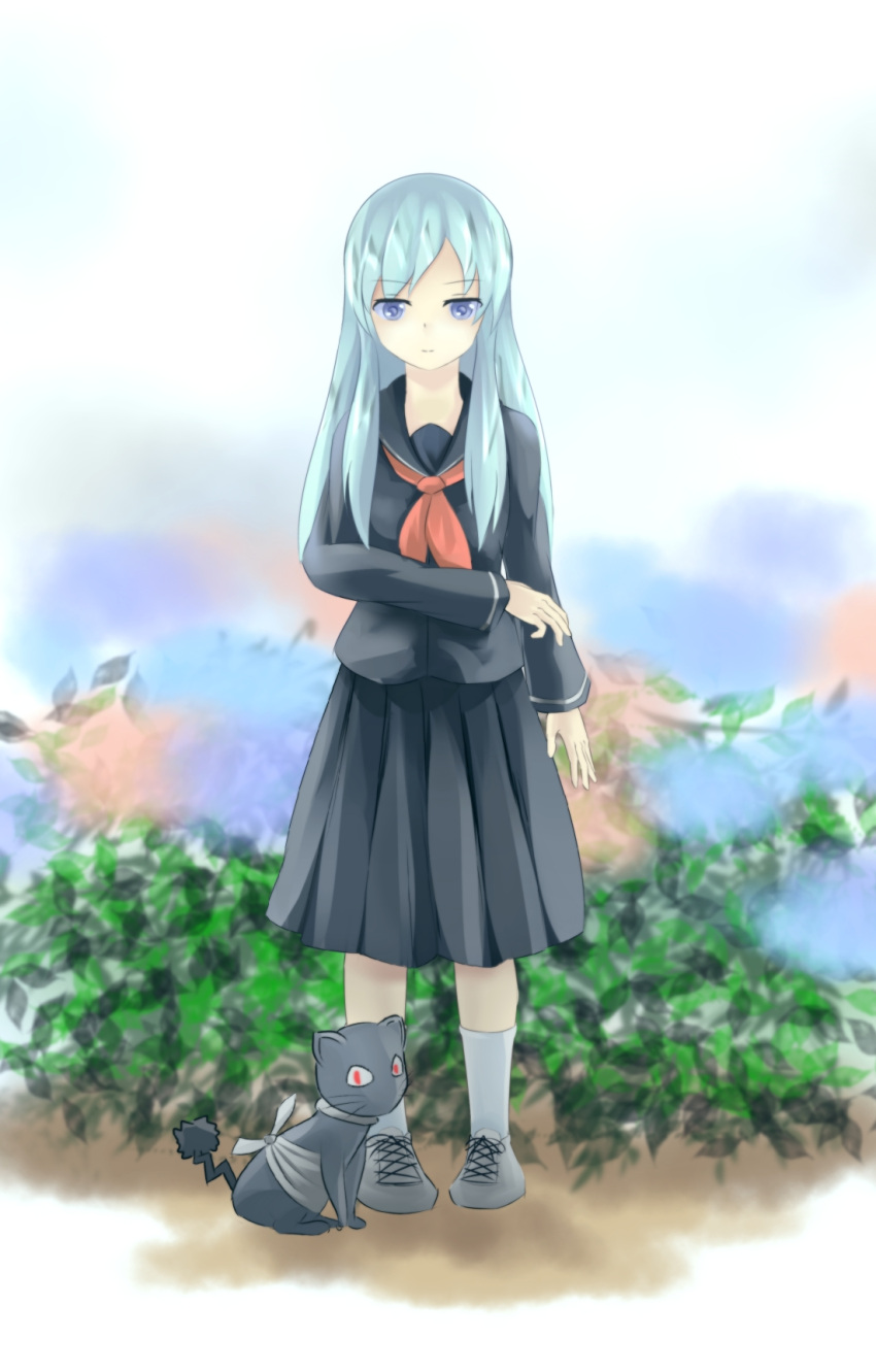 baabu, blue_eyes, cat, flower, furuya_mero, highres, hydrangea, long_hair
