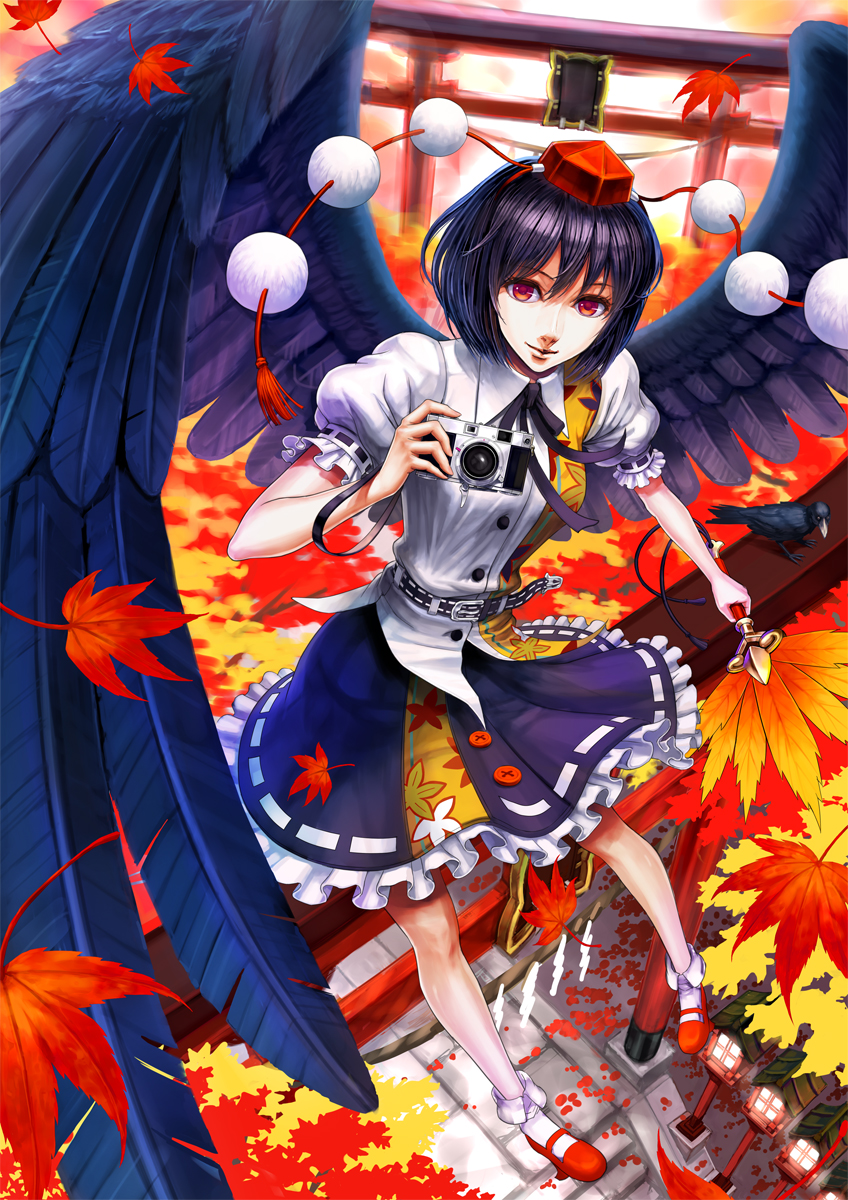 autumn_leaves, belt, bird, black_hair, black_wings, camera, crow, feathered_wings