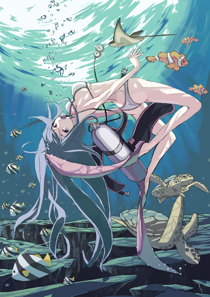 amanchu!, bikini, bubble, coral, diving, fins, fish, flippers