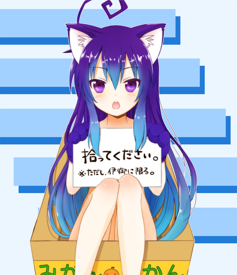 acchi_kocchi, ahoge, animal_ears, blue_hair, box, cat_ears, for_adoption, hinaganon