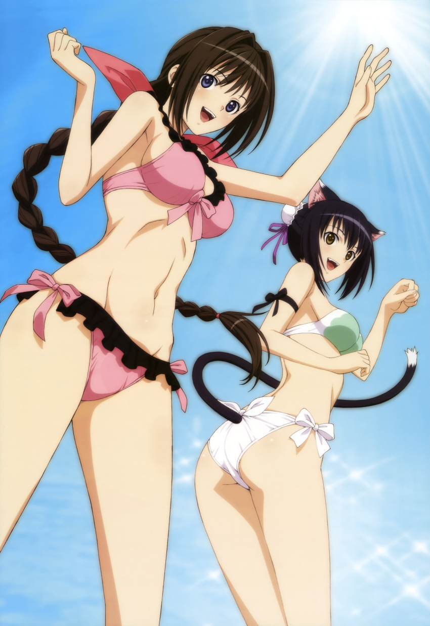 absurdres, animal_ears, ass, bikini, black_hair, braid, highres, long_hair