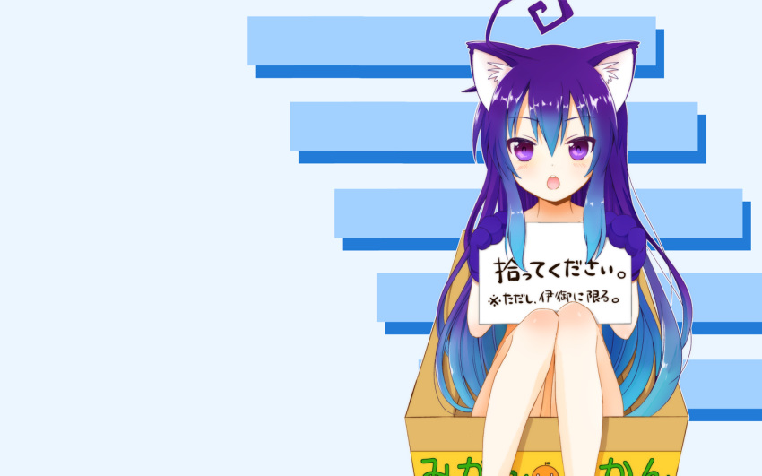 acchi_kocchi, animal_ears, blue_hair, catgirl, hinaganon, long_hair, miniwa_tsumiki, nude