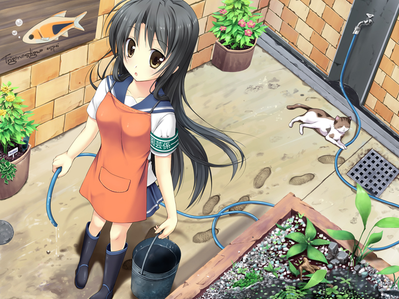 apron, black_hair, brown_eyes, bucket, cat, footprints, kokage, long_hair