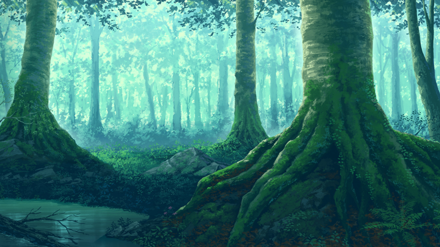 forest, moss, nature, no_humans, original, rock, roots, scenery