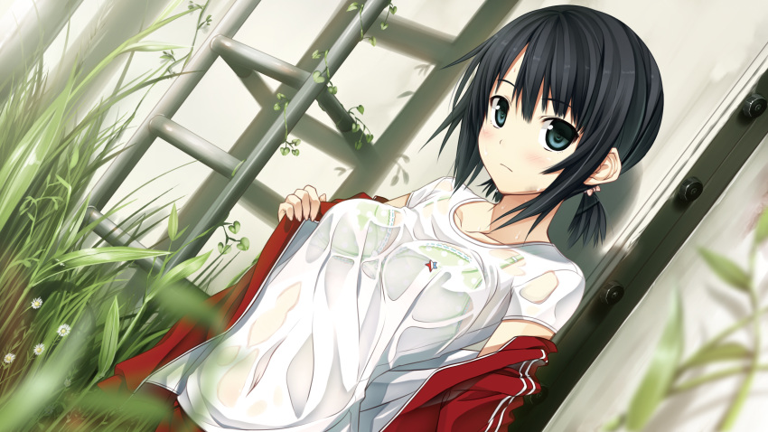 alishima_alice, cura, game_cg, monobeno