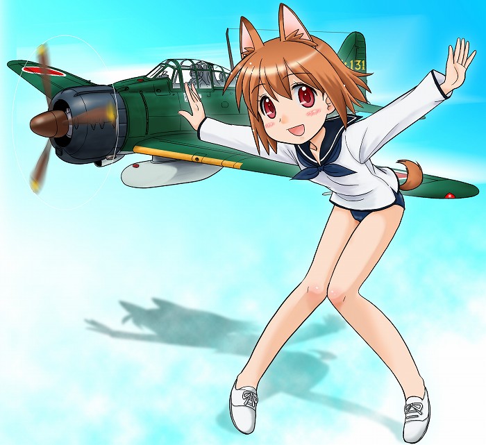 a6m_zero, airplane, animal_ears, cosplay, imperial_japanese_navy, military, miyafuji_yoshika, miyafuji_yoshika_(cosplay)
