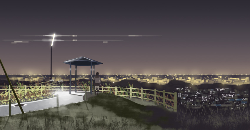bad_id, black_hair, city_lights, cityscape, from_behind, grass, horizon, lamppost