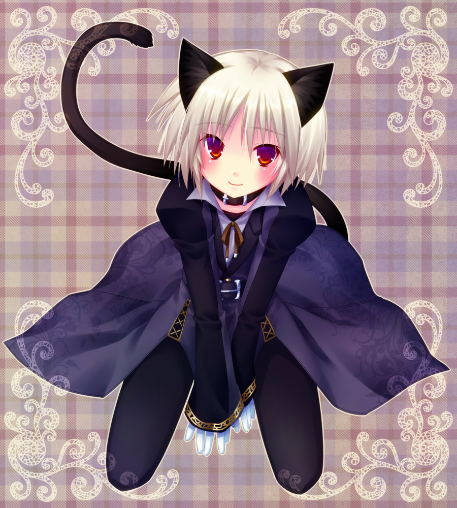 animal_ears, brown_eyes, cat_ears, fantasy_earth_zero, male, minatosaiga, short_hair, solo