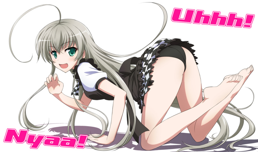 1girl, ahoge, all_fours, ass, bare_legs, barefoot, black_panties, fang