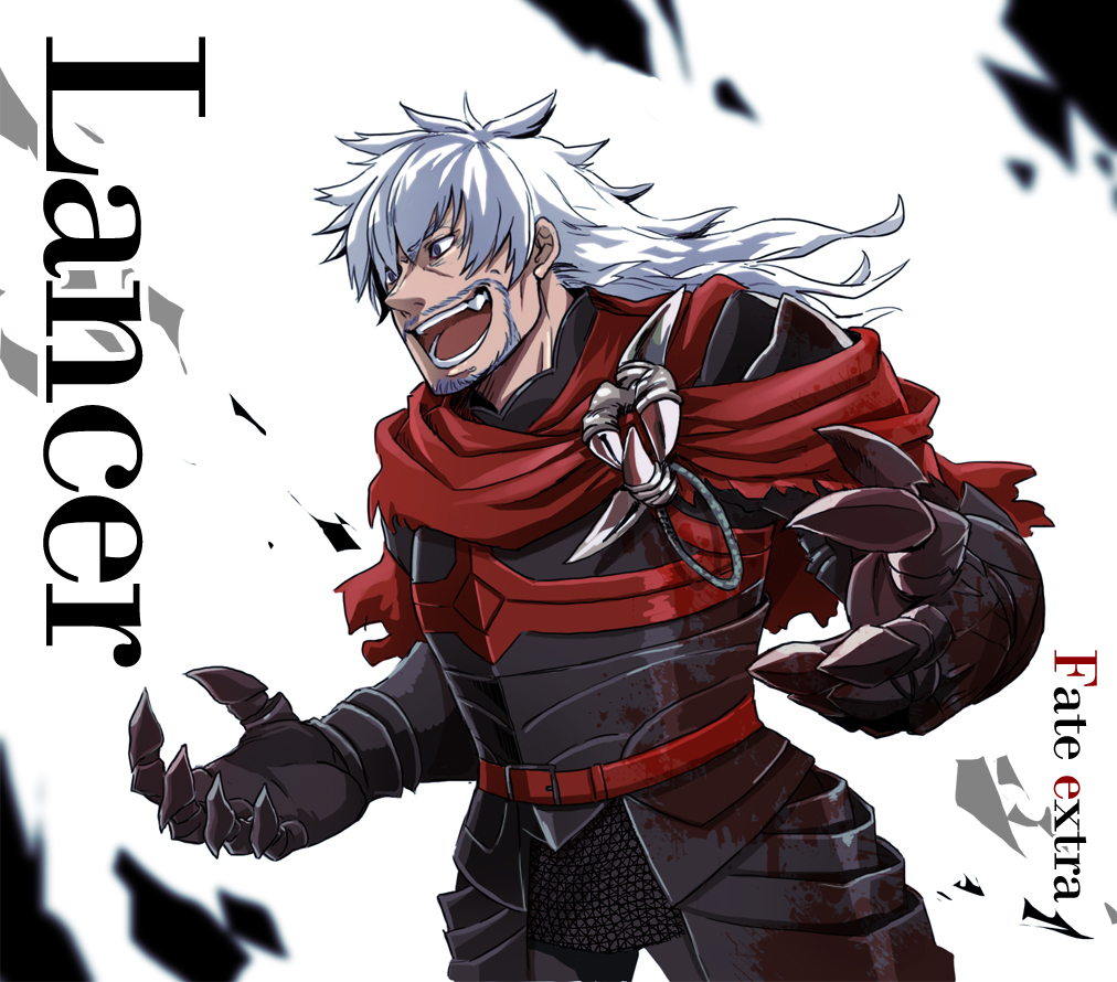 armor, beard, character_name, facial_hair, fate/extra, fate_(series), hachi_(gaoo), lancer_(fate/extra), long_hair, male, mustache, solo, title_drop, white_hair