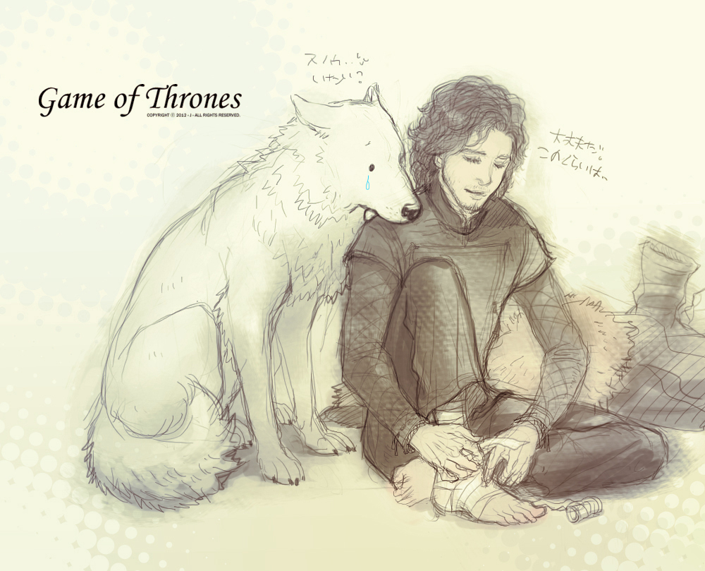 a_song_of_ice_and_fire, bandage, bandages, barefoot, black_hair, facial_hair, ghost_(a_song_of_ice_and_fire), jon_snow