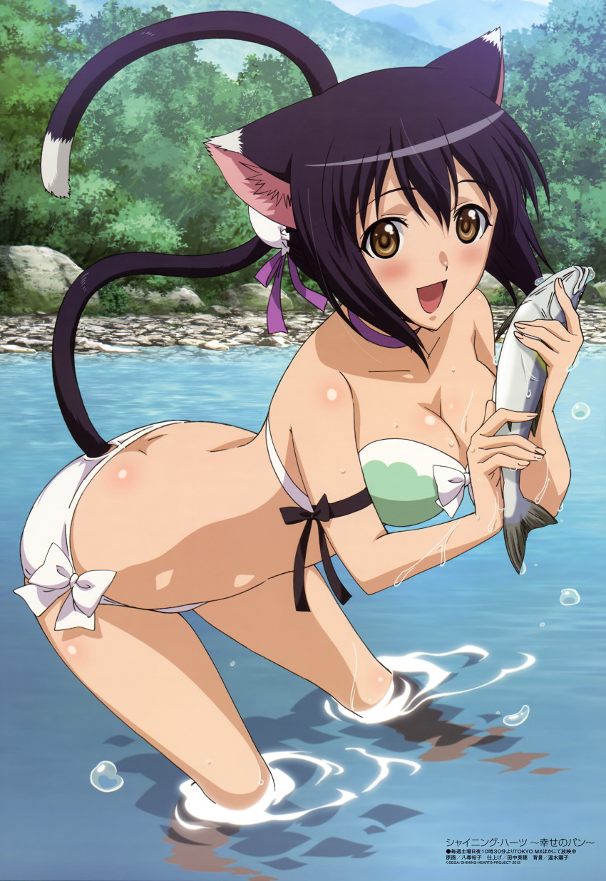 absurdres, animal_ears, bikini, black_hair, blush, breasts, brown_eyes, cat_ears