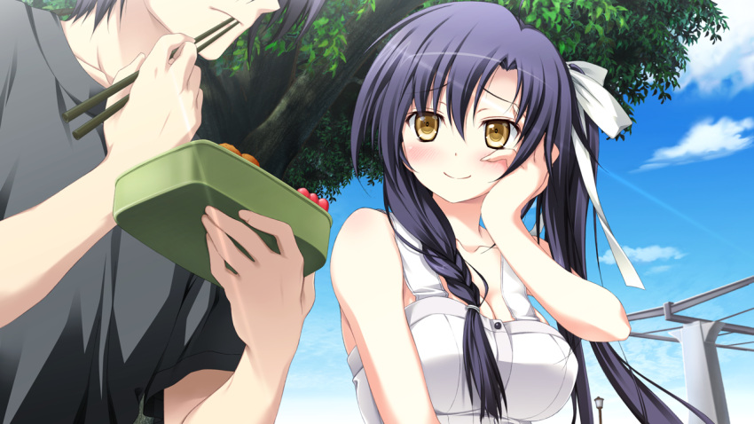 game_cg, mizuki_runa, purple_software, shiawase_kazokubu, yuuki_makoto