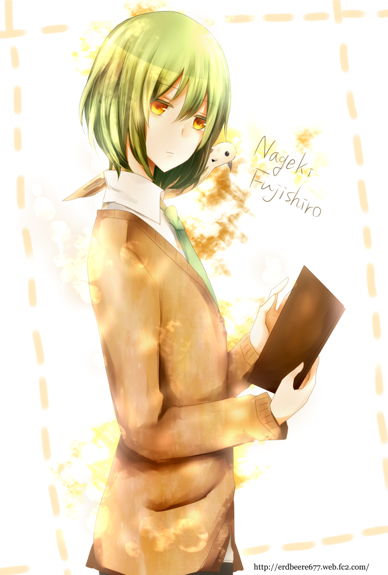 1boy, animal, bird, book, deruta, fujishiro_nageki, green_hair, hatoful_kareshi