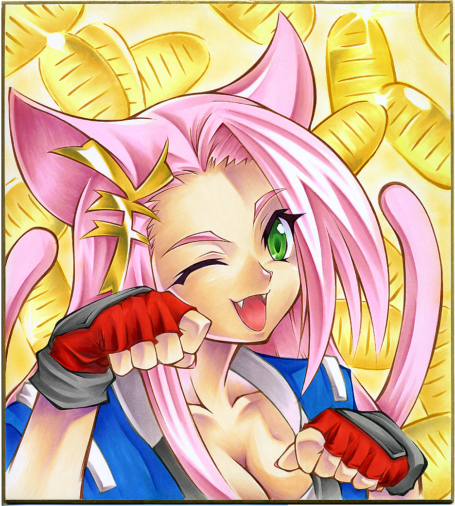 breasts, calnarsa, cat_ears, cat_tail, cleavage, coin, green_eyes, koma_(srw)