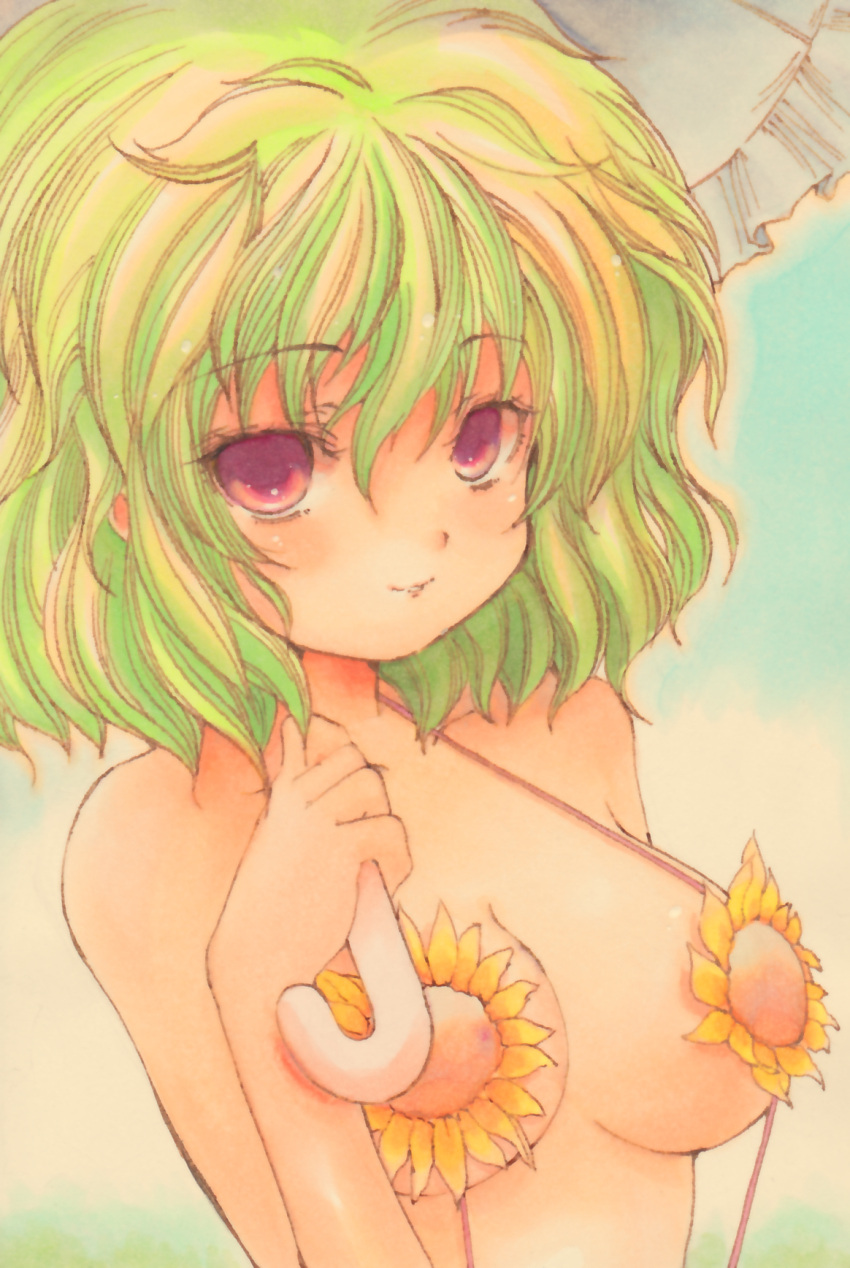 breasts, bust, flower, green_hair, highres, kazami_yuuka, large_breasts, nishina_masato
