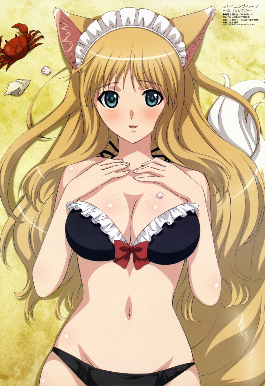 absurdres, animal_ears, bikini, blush, bra, breasts, brown_hair, cleavage