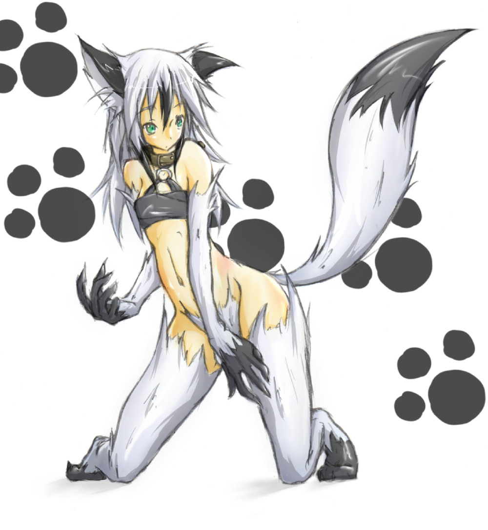 animal_ears, animal_tail, aqua_eyes, collar, fox_ears, fox_tail, foxgirl, fur, girl, kitsune, novemdecuple, original
