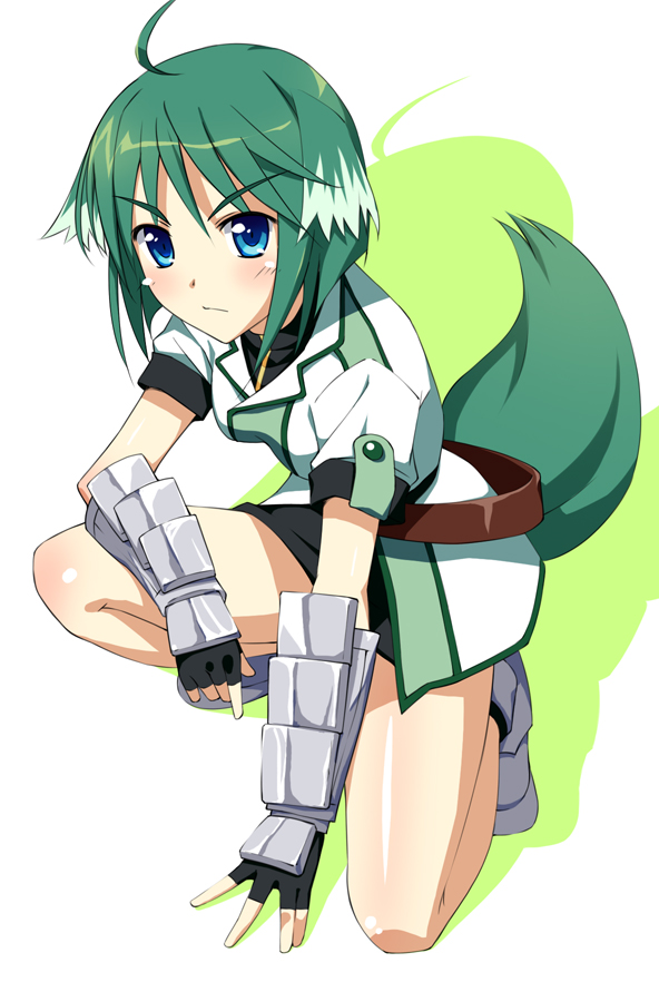 ahoge, animal_ears, armor, blue_eyes, dog_days, dog_ears, dog_tail, eclair_martinozzi
