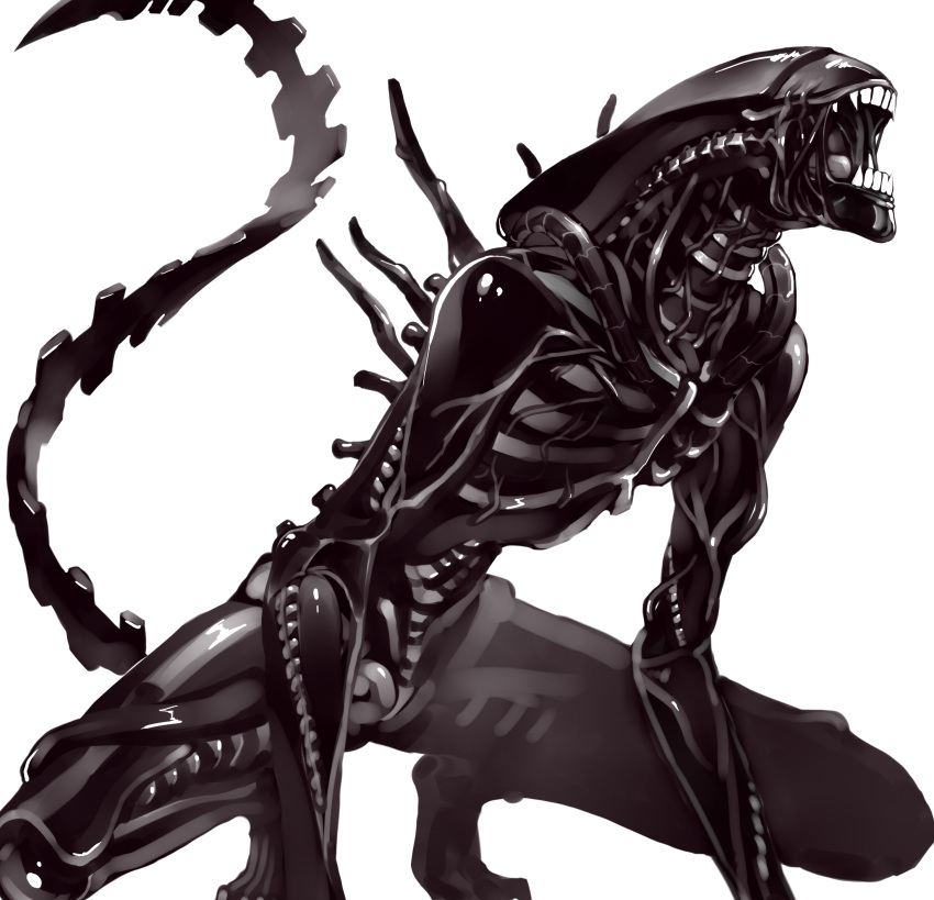 alien, alien_(movie), aliens, aliens_vs_predator, beruzenefu, fangs, highres, monster