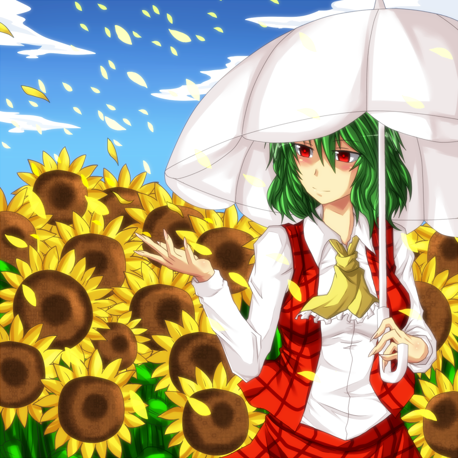 ascot, checkered, cloud, clouds, flower, flower_field, green_hair, kazami_yuuka