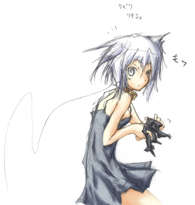 animal_ears, armored_core, armored_core:_for_answer, cat_ears, collar, novemdecuple, strayed