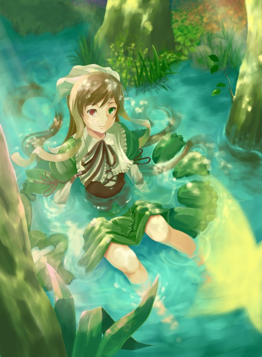 brown_hair, butterfly, dress, forest, from_above, green, green_dress, heterochromia, kusunoki_(waccabell), nature, rozen_maiden, solo, suiseiseki, water, wet, wet_clothes