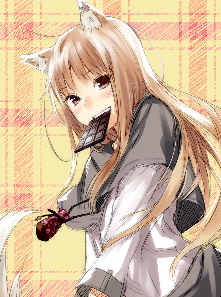 animal_ears, blush, brown_hair, chocolate, holo, long_hair, looking_at_viewer, mouth_hold, plaid, plaid_background, pouch, red_eyes, rokkaku_(ajisaidenden), sketch, solo, spice_and_wolf, tail, wolf_ears