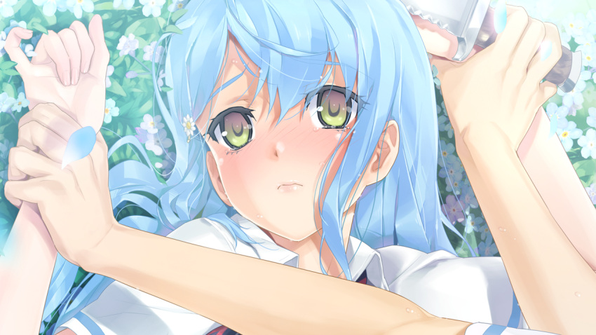 bishoujo_mangekyou, blue_hair, blush, game_cg, green_eyes, happoubi_jin, sawatari_shizuku, tagme