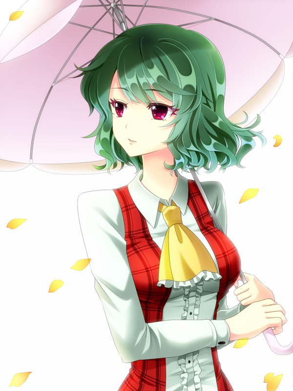 ascot, dress_shirt, green_hair, kazami_yuuka, long_sleeves, looking_away, parasol, petals
