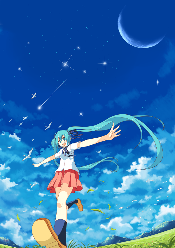 aqua_eyes, aqua_hair, bird, cloud, clouds, danzero, floating_hair, grass