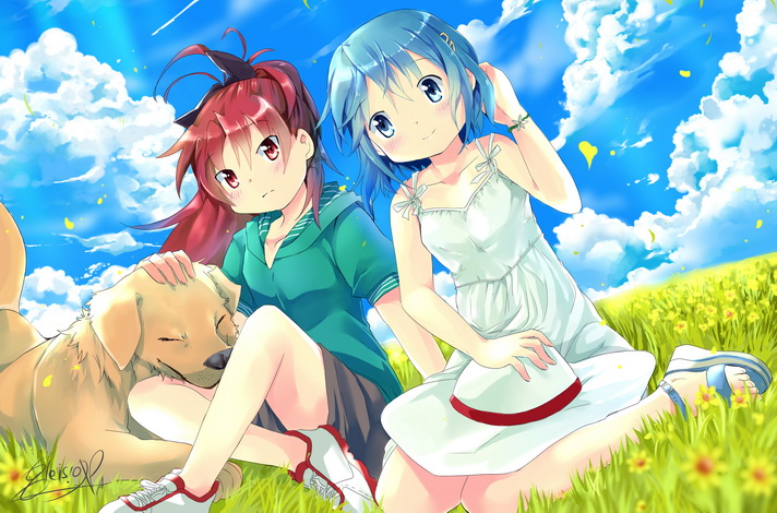 blue_eyes, blue_hair, blush, breasts, dog, dress, gleision_adain, grass