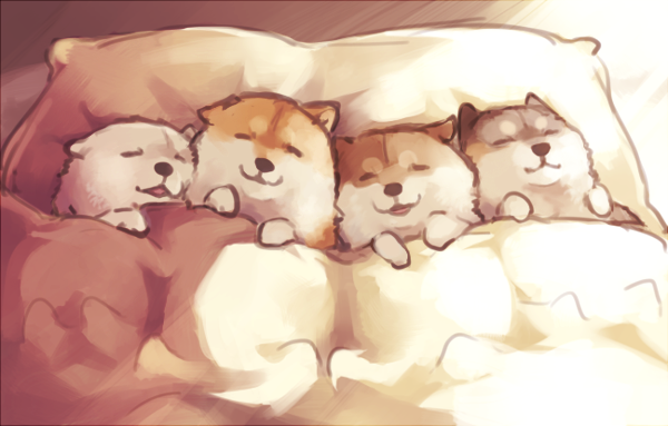bed, dog, ginziro, lying, no_humans, on_back, original, pillow, shiba_inu, sleeping, traditional_media, under_covers
