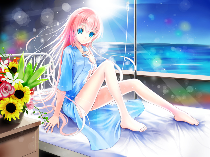 aqua_eyes, barefoot, blue_eyes, bouquet, flower, legs, long_hair, looking_at_viewer, megurine_luka, pink_hair, setona_(daice), sitting, sku, solo, sun, sunflower, vocaloid
