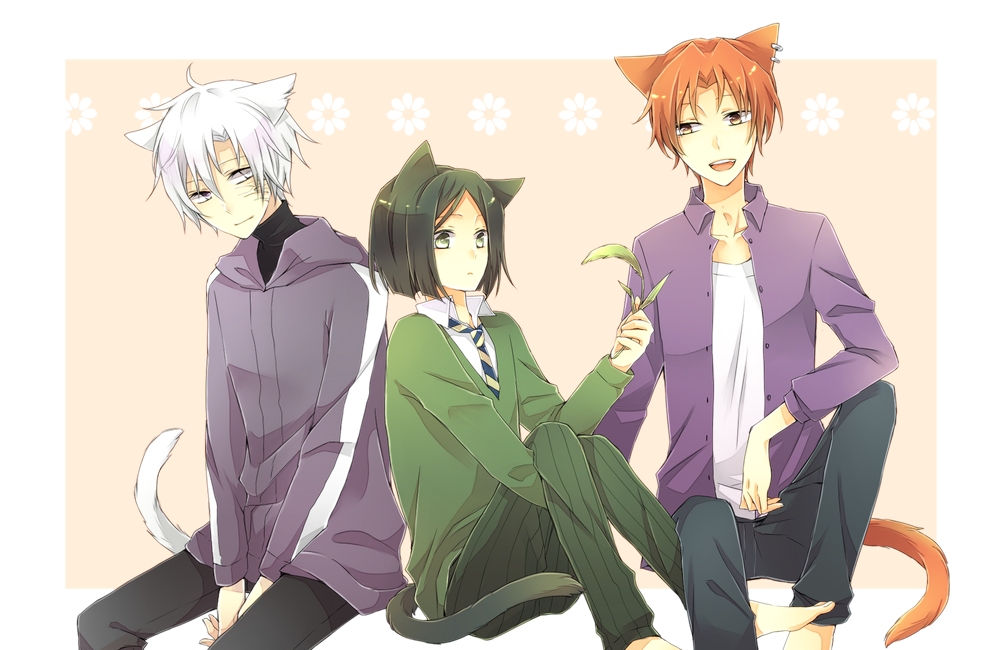 animal_ears, cat_ears, cat_tail, fate/zero, fate_(series), green_eyes, green_hair, iyu_(panna), kemonomimi_mode, male, matou_kariya, multiple_boys, orange_eyes, orange_hair, tail, uryuu_ryuunosuke, waver_velvet, white_eyes, white_hair