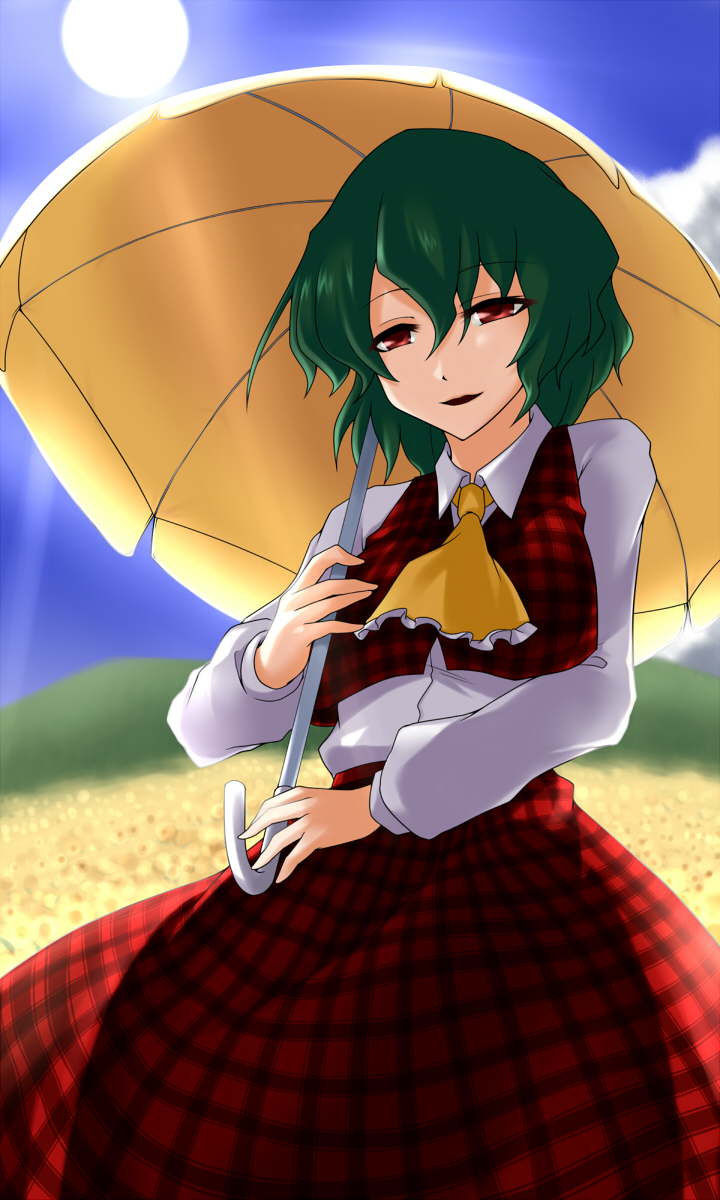 akudato, ascot, flower, flower_field, green_hair, highres, kazami_yuuka, long_sleeves