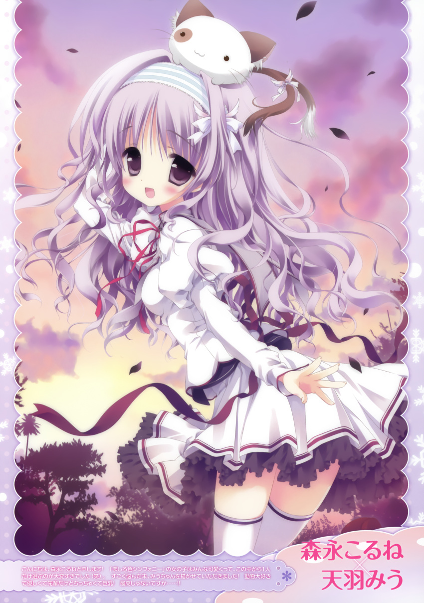1girl, :3, :d, absurdres, amaha_miu, cat, highres, looking_back, mashiroiro_symphony, morinaga_korune, open_mouth, pan-nya, purple_eyes, purple_hair, school_uniform, seifuku, smile, sunset, thigh-highs, thighhighs, violet_eyes, white_legwear