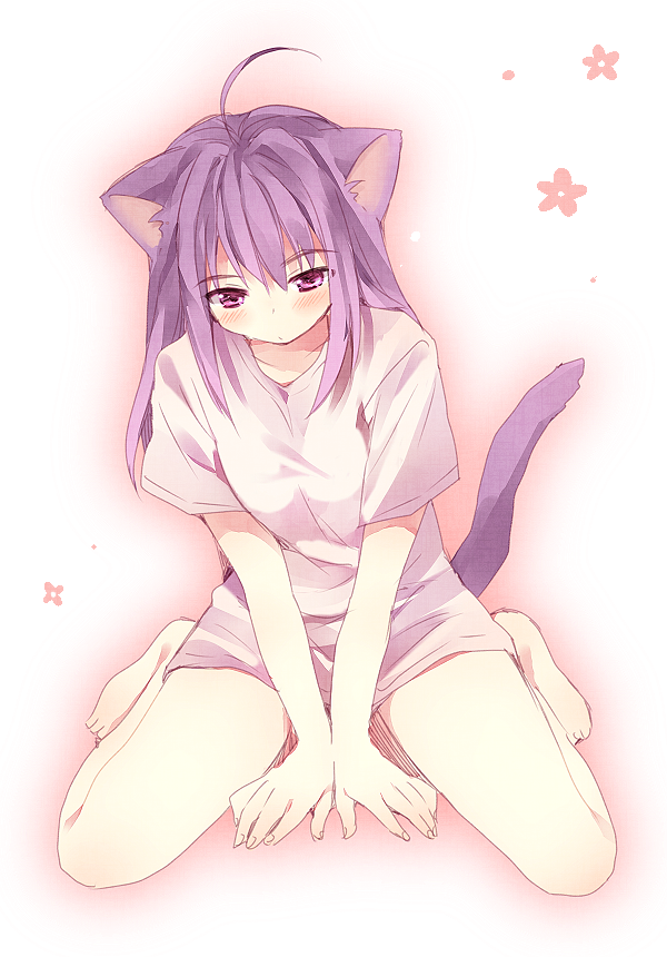 ahoge, animal_ears, barefoot, blush, cat_ears, long_hair, matsusaka_gyuu, naked_shirt