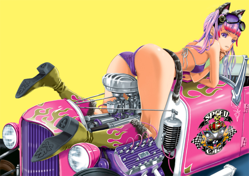 bikini, boots, car, cat, checkered, checkered_flag, copyright_request, crown