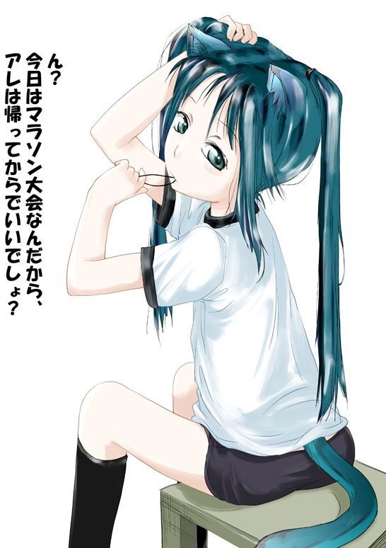animal_ears, ass, blue_eyes, blue_hair, buruma, cat_ears, gym_uniform, loli, long_hair, looking_back, sitting, socks, tail, translated, translation_request, twintails, yam_(nekobeya)