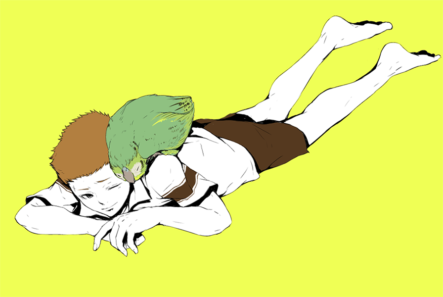 barefoot, bird, brown_hair, character_request, kakapo, male, shiro_(reptil), short_hair