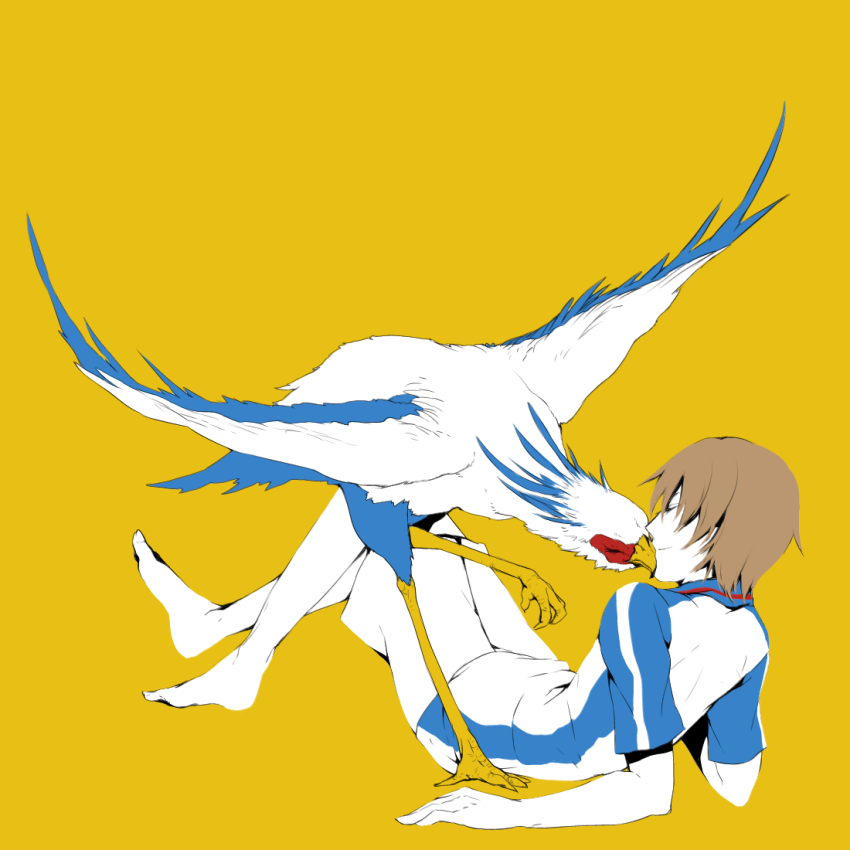 barefoot, bird, brown_hair, character_request, male, secretary_bird, shiro_(reptil), short_hair