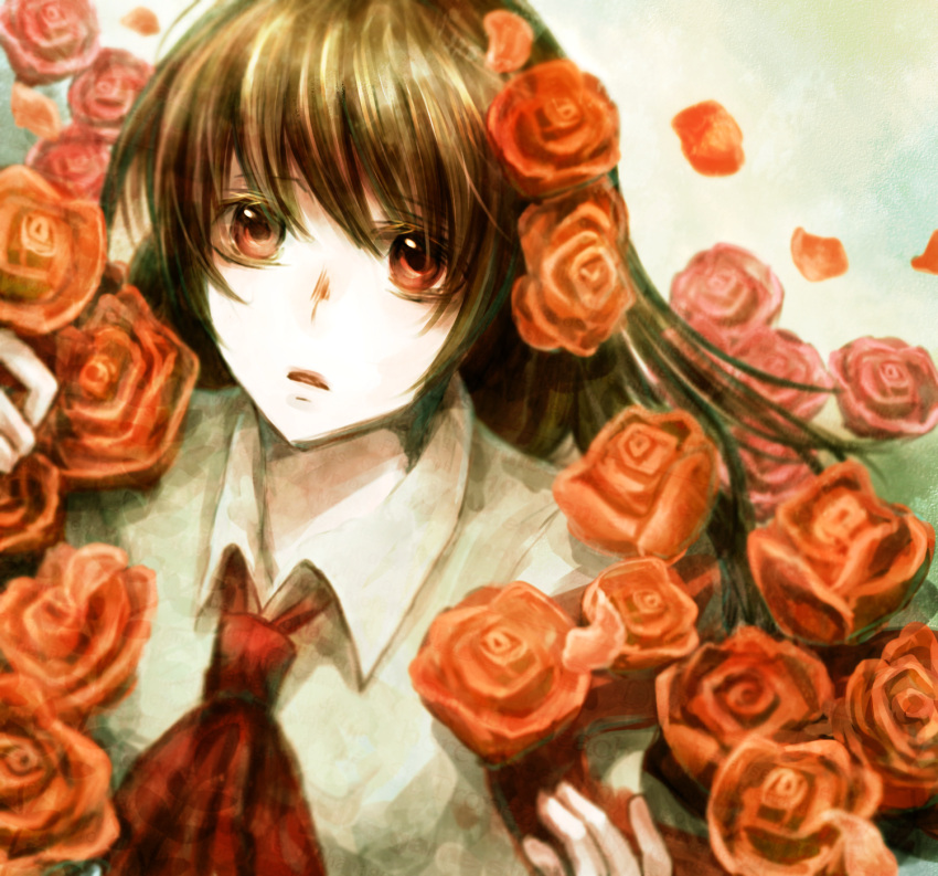 black_hair, flower, fuyuyuki_gekka, highres, ib, ib_(ib), long_hair, red_eyes, red_rose, rose, shirt, solo, white_shirt