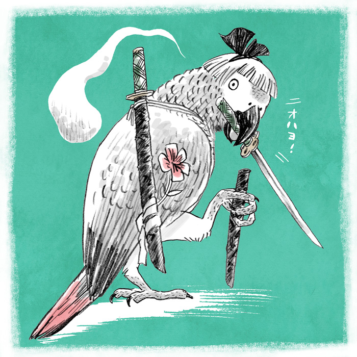 animalization, bird, flower, katana, konpaku_youmu, konpaku_youmu_(ghost), looking_at_viewer, looking_back, mouth_hold, no_humans, parrot, pun, shimizu_toshiyasu, simple_background, solo, standing_on_one_leg, sword, text, touhou, translated, weapon