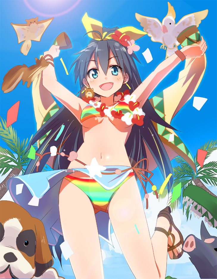 bikini, bird, black_hair, blue_eyes, bracelet, breasts, cockatoo, dog, flying_squirrel, ganaha_hibiki, gochou_(comedia80), hamster, idolmaster, jewelry, long_hair, multicolored_bikini, pig, ponytail, ribbon, smile, squirrel, swimsuit, underboob