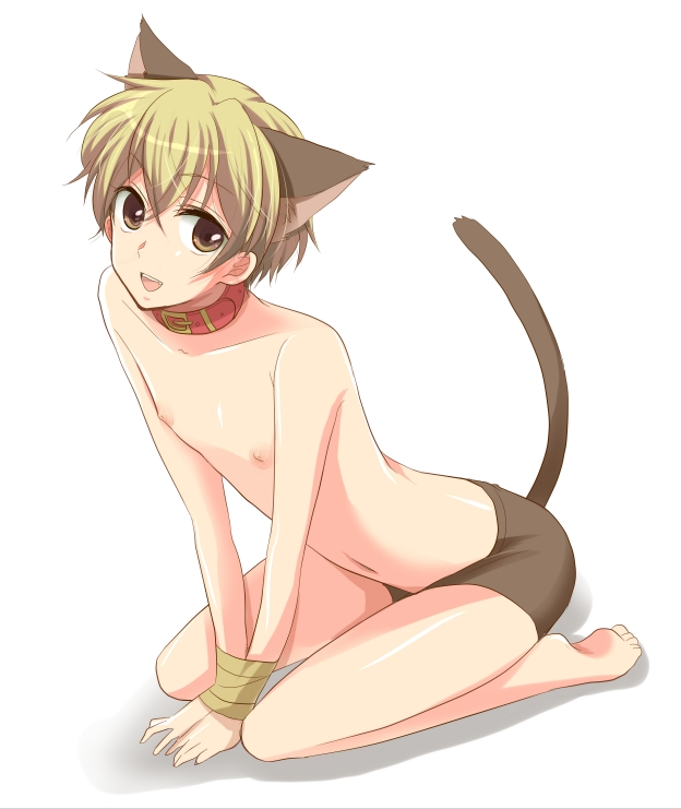 animal_ears, bad_id, blonde_hair, bound_wrists, boy, cat_ears, cat_tail, catboy, collar, fang, hiroichi, igarashi_taichi, kichiku_glasses, male, shirtless, short_hair, shota, smile, solo, tail, tape, tied, yellow_eyes
